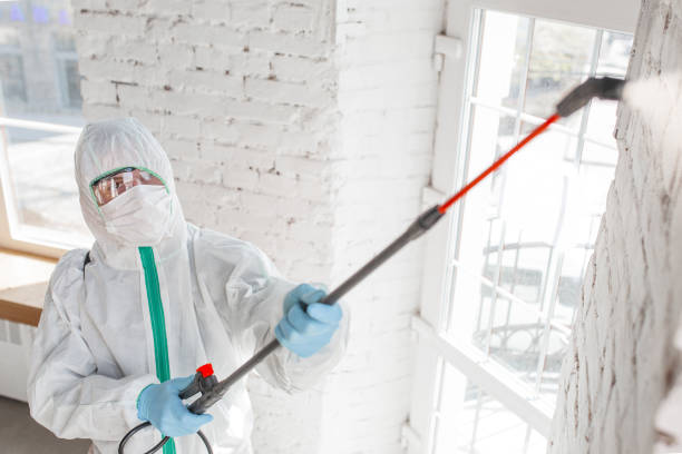 Best Emergency Mold Remediation  in Swoyersville, PA