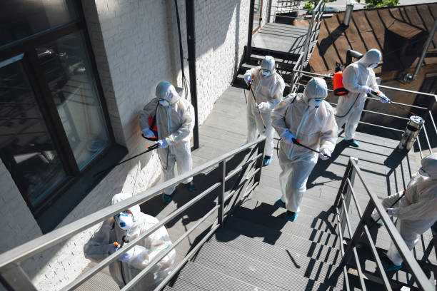 Reliable Swoyersville, PA Mold Removal Solutions