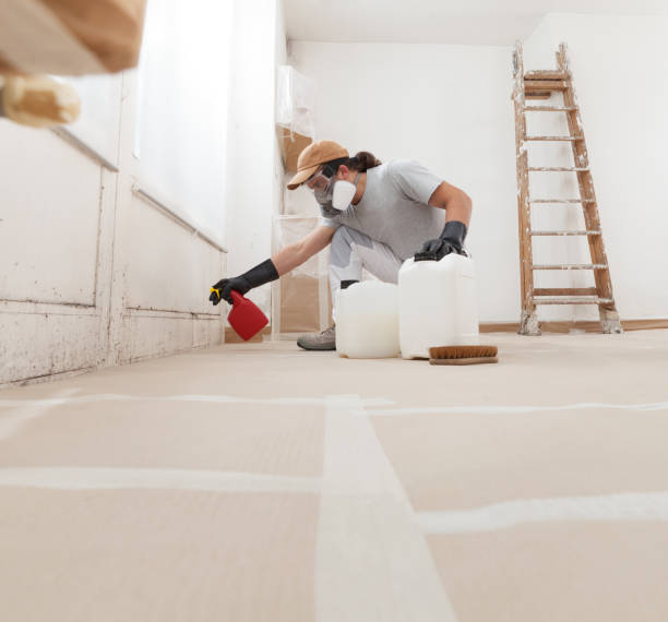 Best Water Damage & Mold Remediation  in Swoyersville, PA